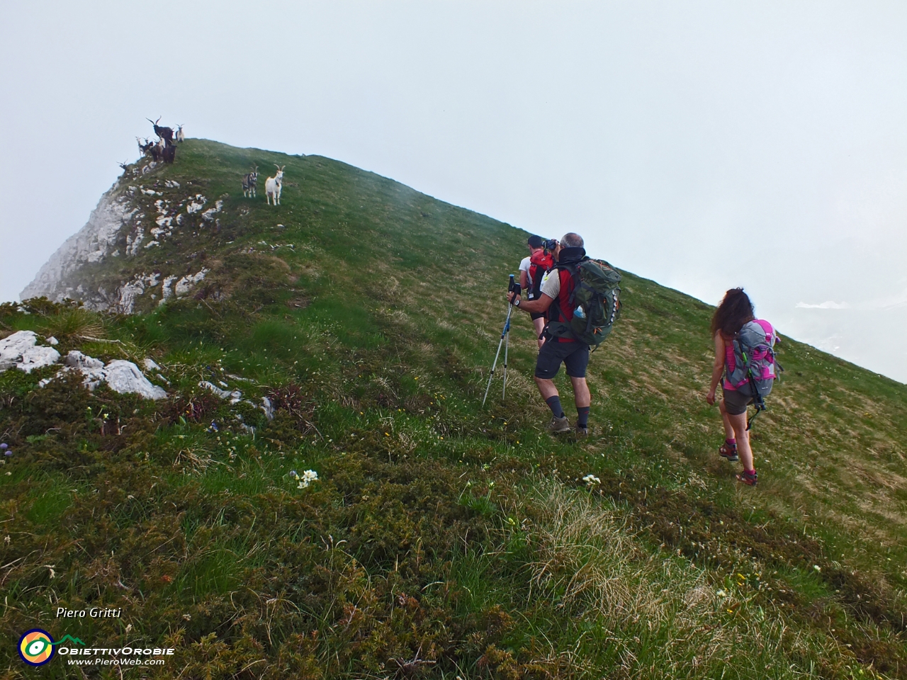 61 Verso la cima del Monte Vetro....JPG